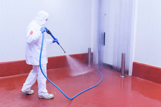 Best Rust Removal  in Macungie, PA